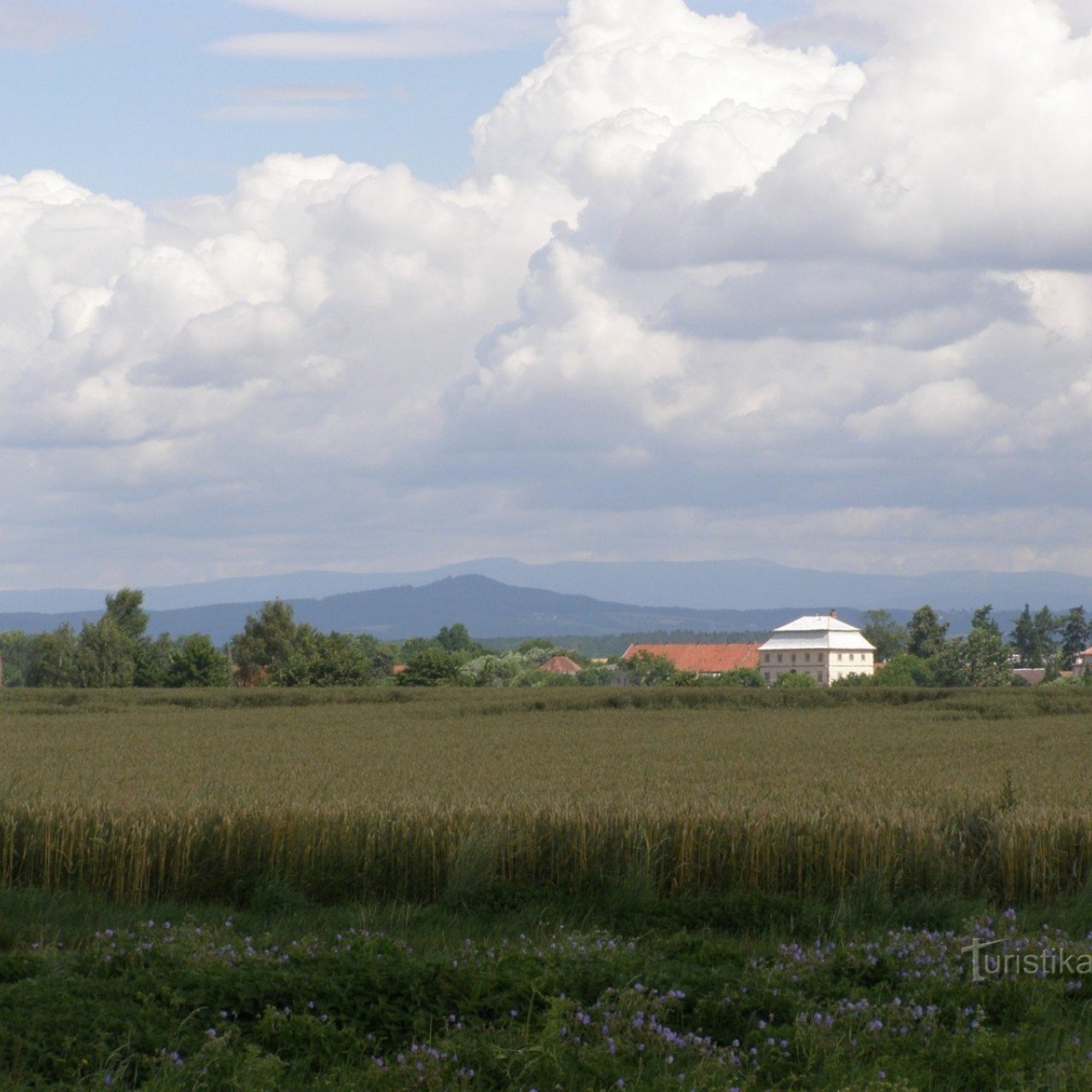 Volanice