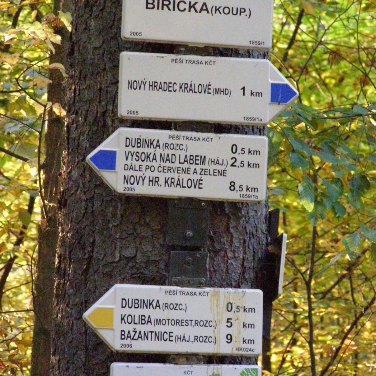 Rozcestí Biřička - Hradecké lesy