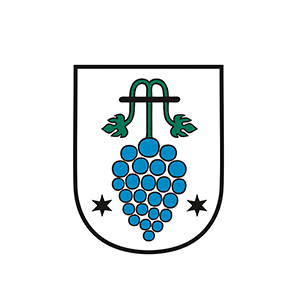 Die Verwaltung hat keine direkte Kommunikation an die Bürger über MUNIPOLIS aktiviert
