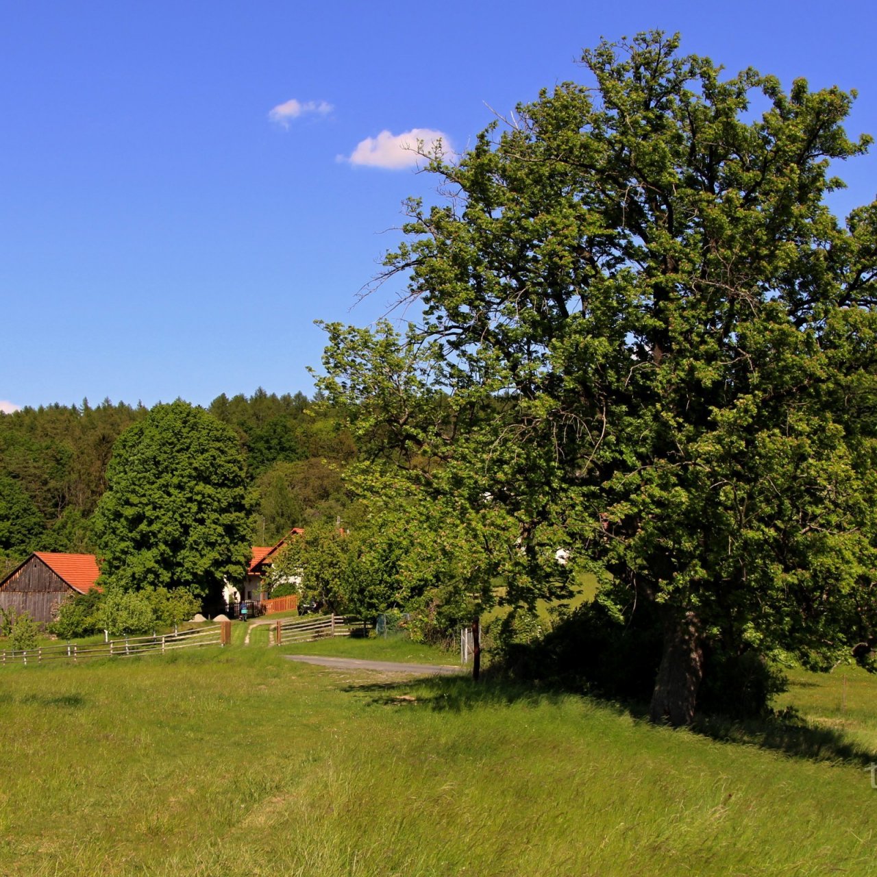 Vizovická vrchovina (2): Přírodní park Želechovické paseky