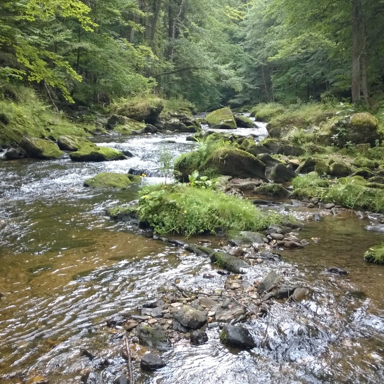 Divoká Kamenice