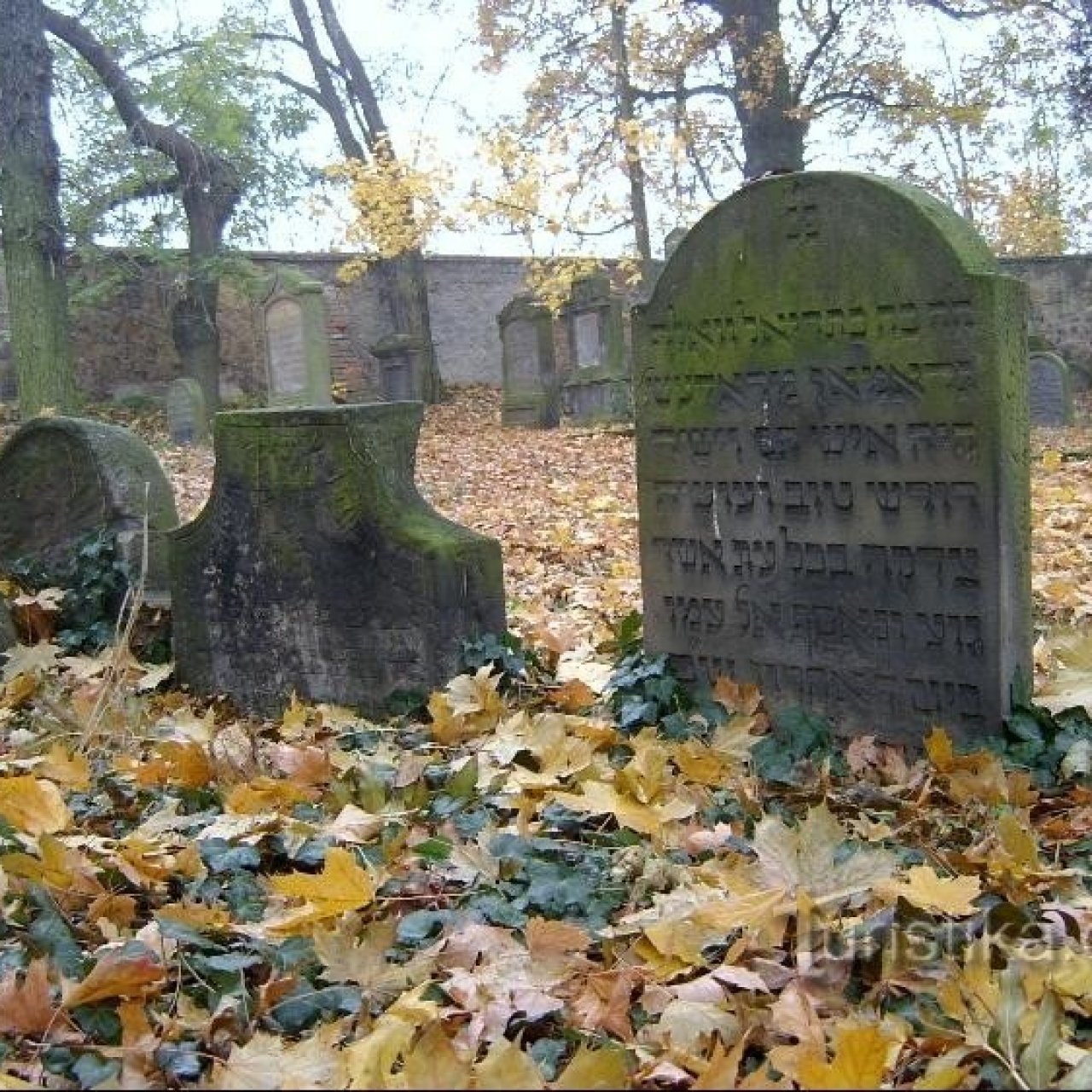 Židovský hřbitov